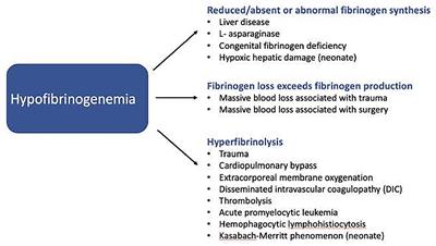 Pediatric Fibrinogen PART II—Overview of Indications for Fibrinogen Use in Critically Ill Children